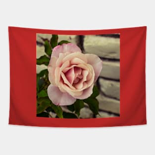 Rose and brick Tapestry