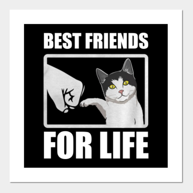 Funny Cat T Shirt Best Friends For Life T Shirt Funny Cat Best
