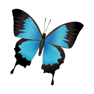 Blue Butterfly T-Shirt