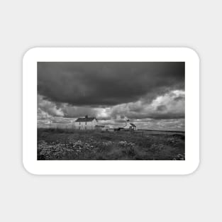 Rocky Island, Seaton Sluice - Monochrome Magnet