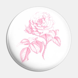 Pink Rose Monochrome Illustration Pin