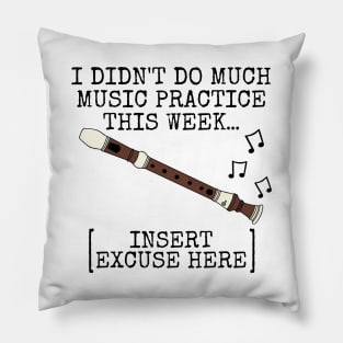 I Didn't Do Much Music Practice, Recorder Player Pillow