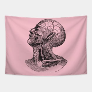 Anatomy head Tapestry