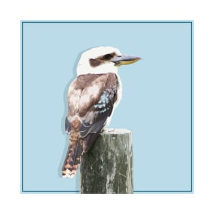 Kookaburra T-Shirt