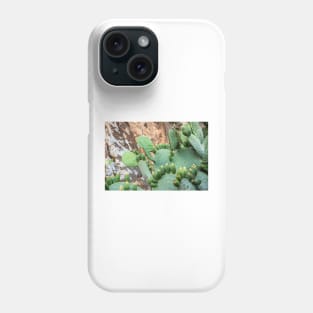 Cactus. Phone Case