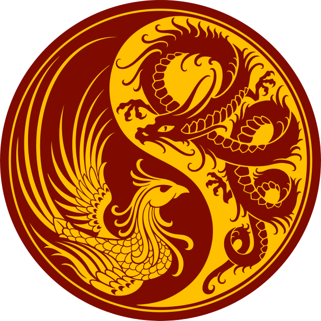 Yellow and Red Dragon Phoenix Yin Yang Kids T-Shirt by jeffbartels