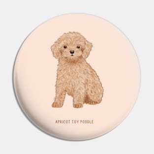 cute apricot toy poodle puppy Pin