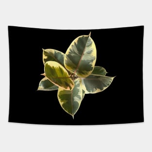 Ficus elástica tineke Tapestry