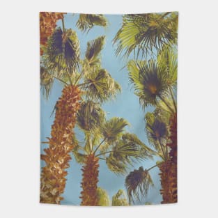 Pretty picture of a Palm Tree. Pretty Palm Trees Photography design with blue sky Tapestry