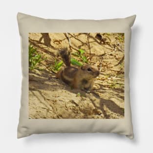 Squirrels, antelope squirrel, wildlife, Break Time Pillow