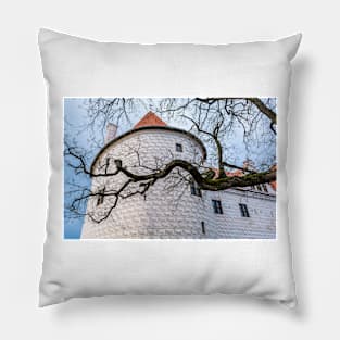 Naked tree branch before the tower of Bauska Castle Pillow