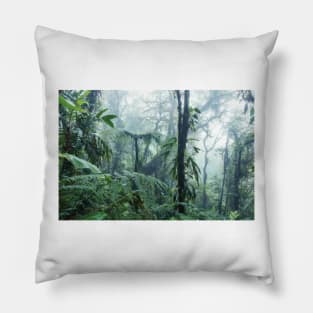 Monteverde Cloud Forest Pillow