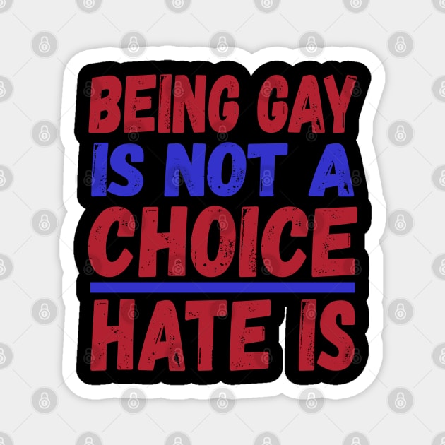 Being Gay is Not a Choice Hate is Magnet by uncannysage