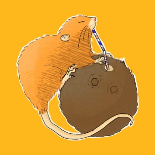 Uromys vika or Vangunu giant rat sipping a coconut T-Shirt