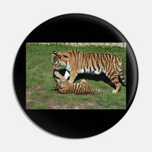 Tiger Cub and Mom Pin