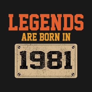 1981 birthday gift T-Shirt