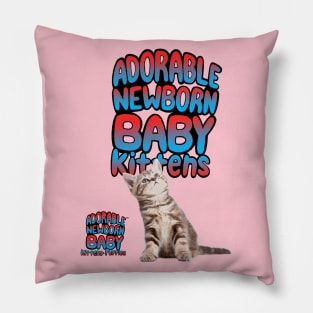 ADORABLE NEWBORN BABY KITTENS Pillow