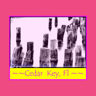 Cedar Key in pink T-Shirt