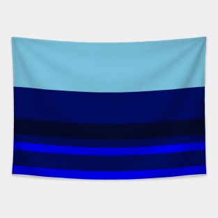 A tremendous shape of Sky Blue, Blue, Dark Imperial Blue and Cetacean Blue stripes. Tapestry