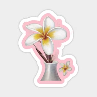 White Vase With a Narrow Neck, Containing Two Plumeria Flowers Magnet