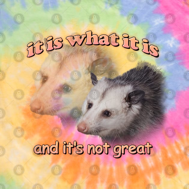 it is what it is... and it's not great possum meme