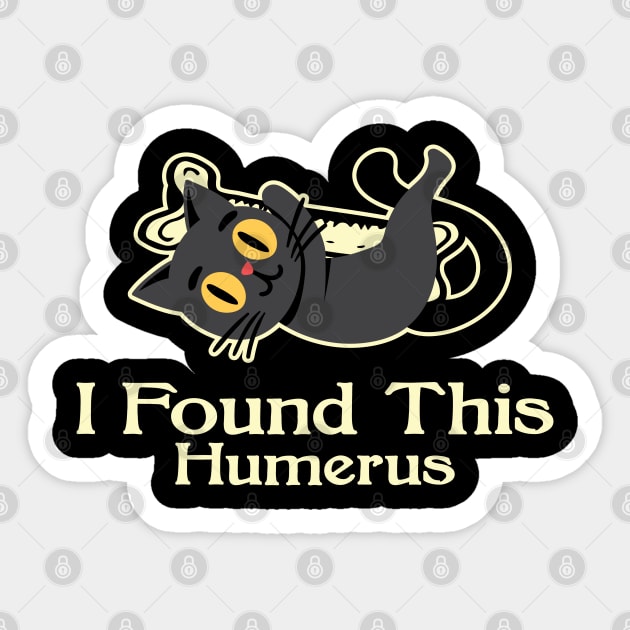 Black Cat I found This Humerus