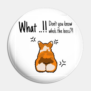 Dog Welsh Corgi What ...!! Don't you know who's the boss?! Pin