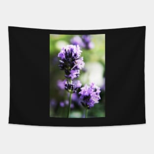 Pretty lavender flowers Tapestry