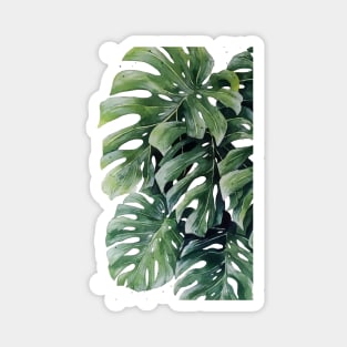 Monstera Leaves 10 Magnet