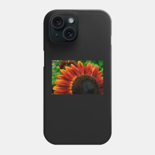 Find Your Sunburst Phone Case