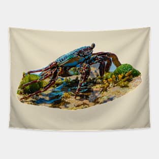 Sally Lightfoot Crab Tapestry