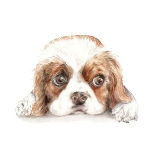 Cavalier King Charles Spaniel T-Shirt