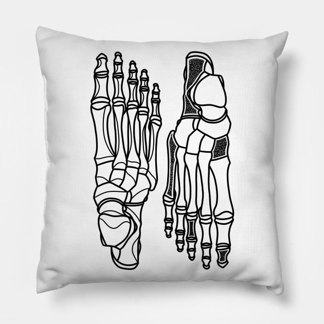 Evolution Pillow by Sadhakaya