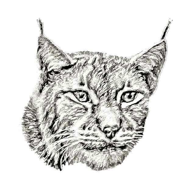 Lynx by Guardi