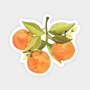 Bright Oranges & Blooms Magnet