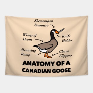 Anatomy of a Canadian Goose Tapestry