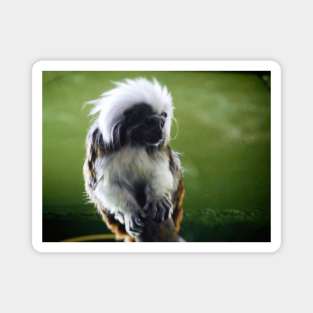 The Wise Looking Tamarin Magnet