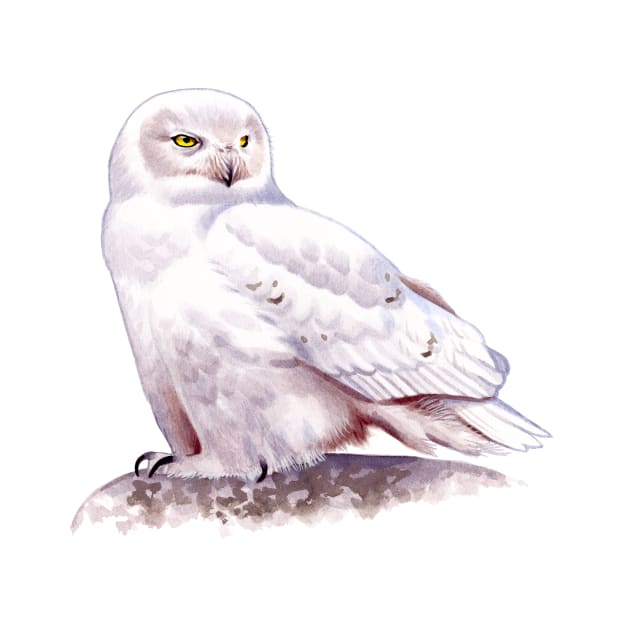 Snowy Owl by kokayart