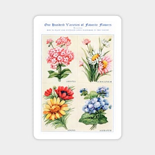 Flower watercolor illustration (1915) Magnet