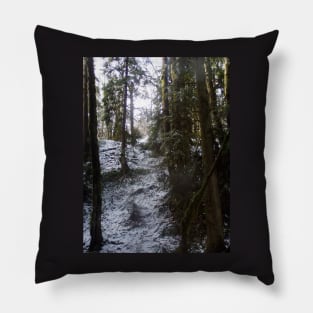 Forest Sun Rays in the Snow #53 Pillow