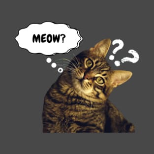 Cute Cat Asking T-Shirt