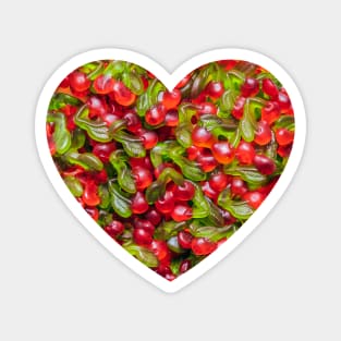 Gummy Cherry Heart Magnet