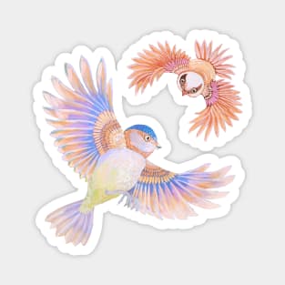 Birds Magnet