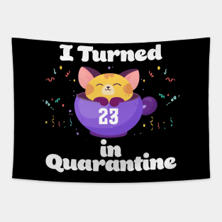 I Turned 23 In Quarantine Tapestry