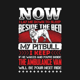 Pitbull Sleep Shirt T-Shirt