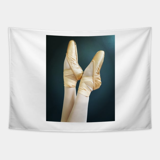 Ballet Pointe Shoes Tapestry by nloooo