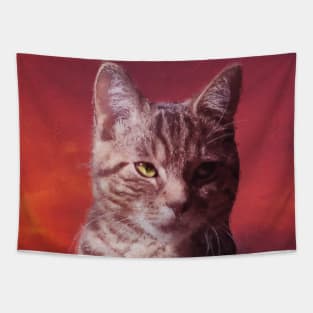 Grey tabby cat in the red sky Tapestry