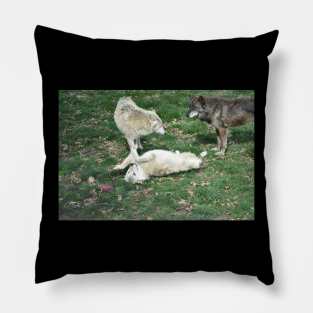 Wolves Pillow