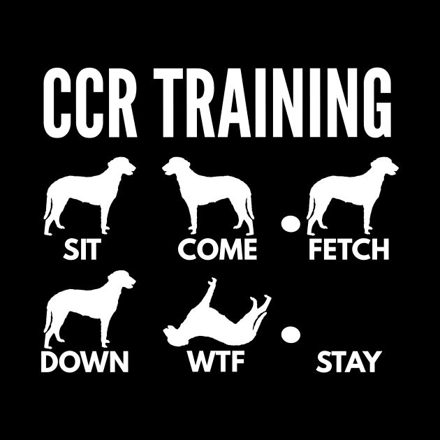 CCR Training Curly-Coated Retriever Tricks by DoggyStyles