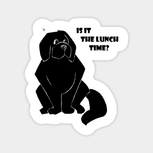 Newfie "Is it the lunch time?" Magnet